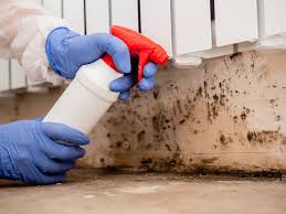 Best Mold Prevention Services in Laurel, VA